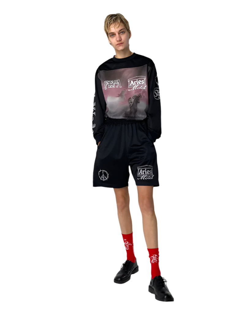 Ramscape Airtex LS Tee / ARIES / MULTI