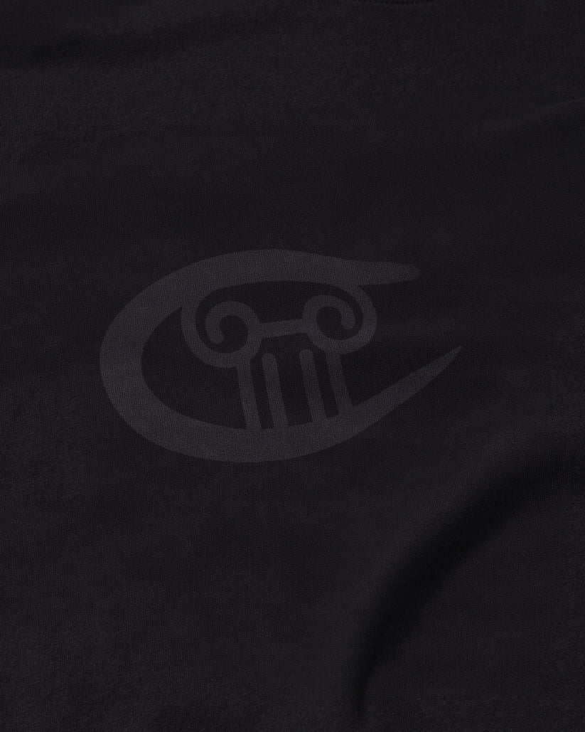 Aries x Champion Stars LS Tee / black