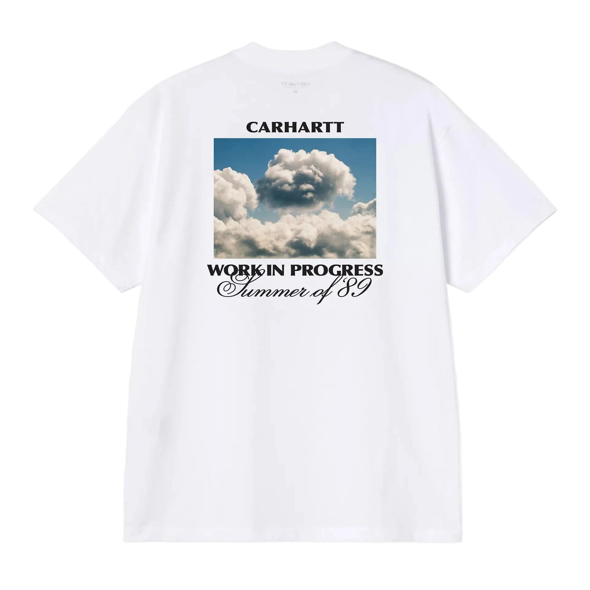 S/S Warm Views T-Shirt / carhartt wip / white