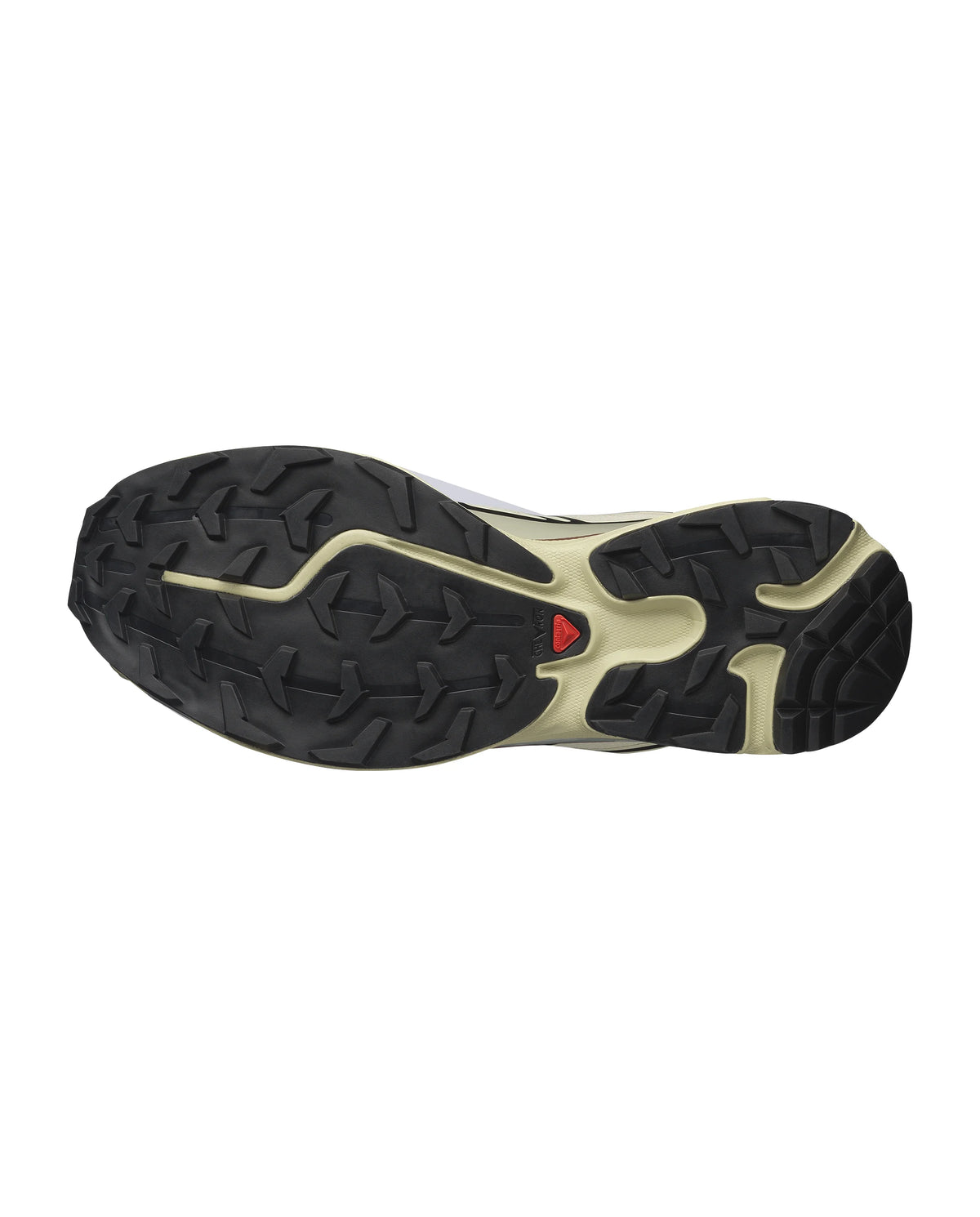 XT-6 GORE-TEX / salomon sportstyle / aspargus